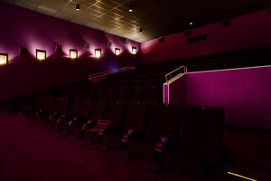 Saal 1: Blick in den Saal